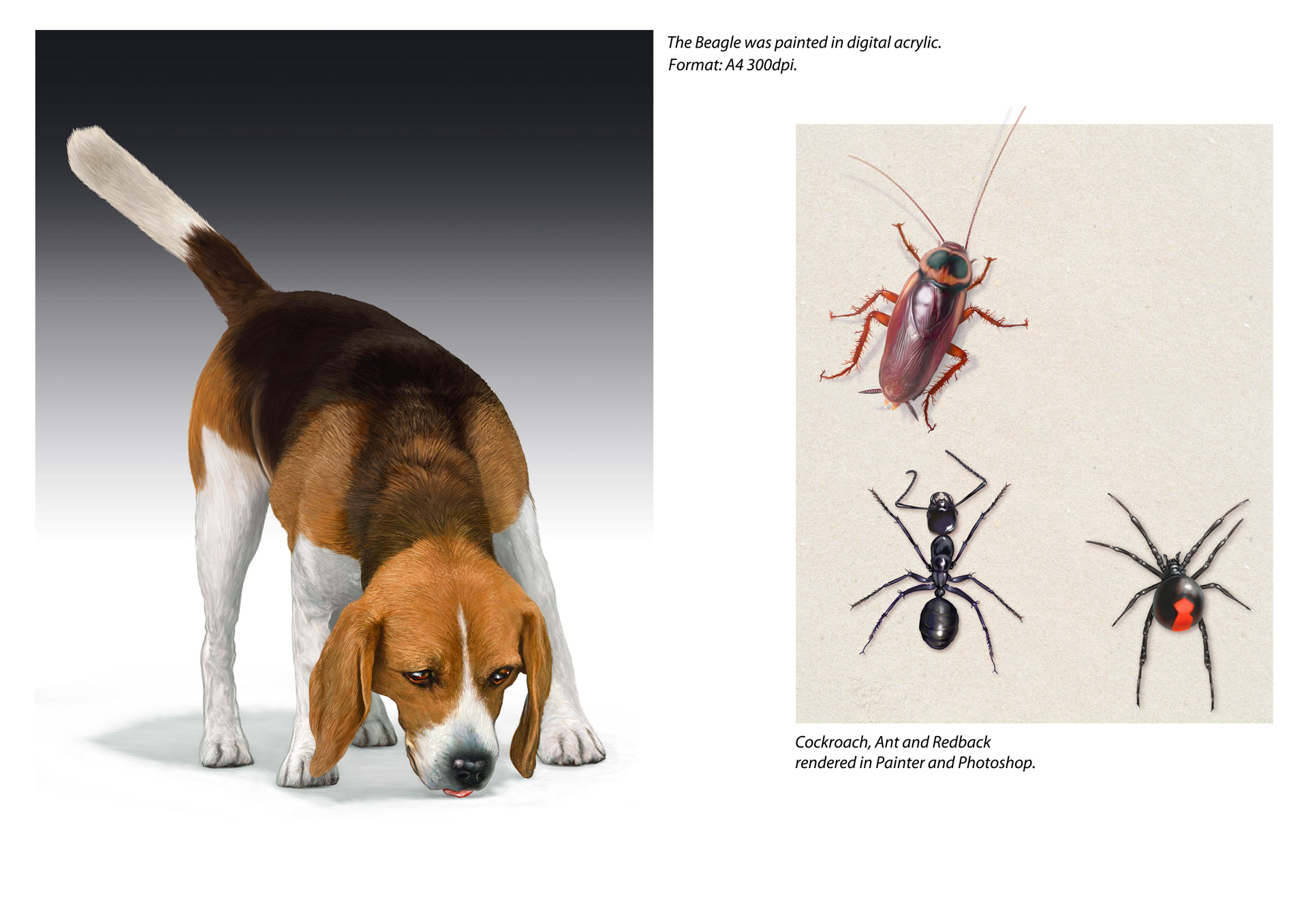 28-the-beagle